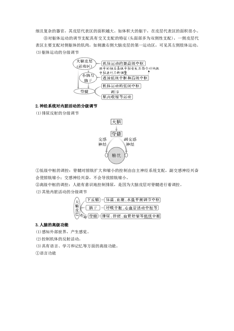 考点25神经调节（解析版）_通用版（老高考）复习资料_2023年复习资料_一轮复习_2023年高考生物一轮复习讲练测（全国通用）