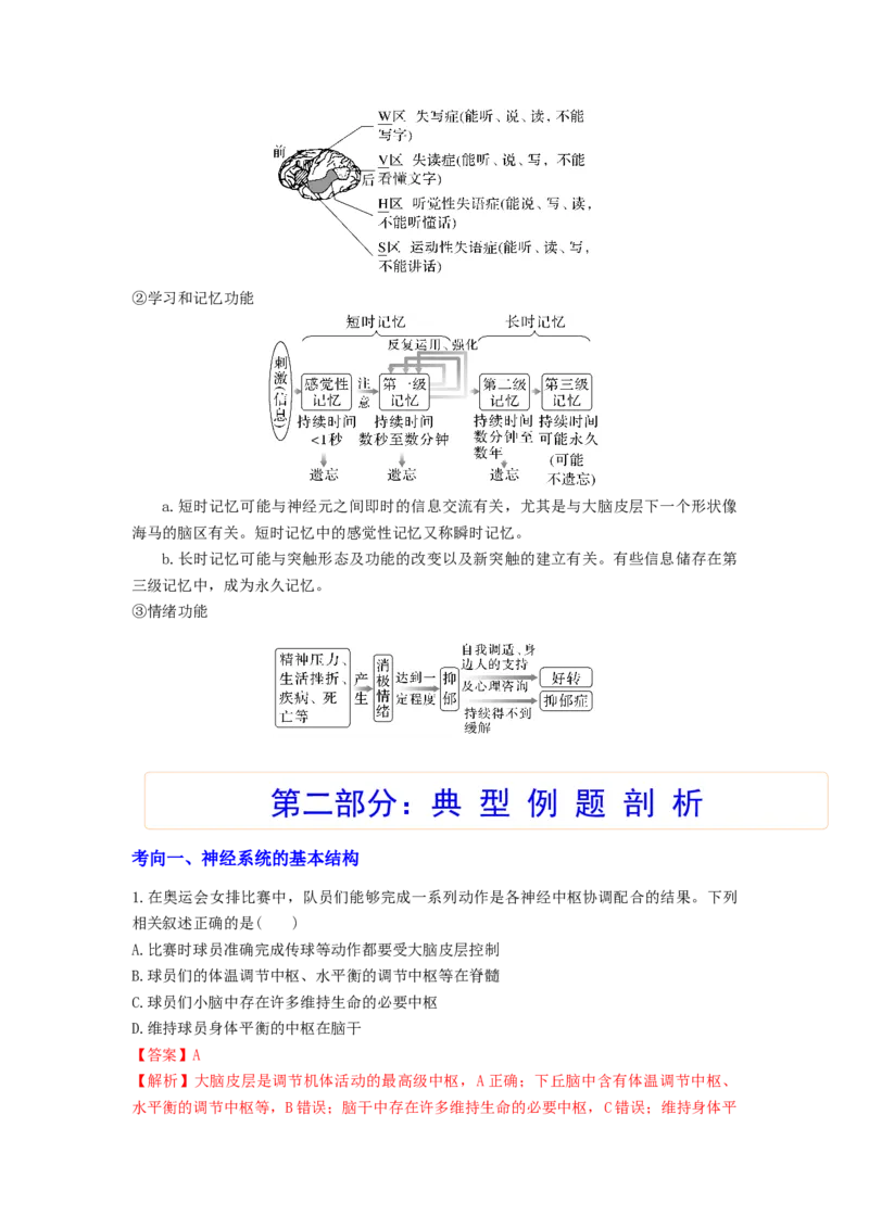 考点25神经调节（解析版）_通用版（老高考）复习资料_2023年复习资料_一轮复习_2023年高考生物一轮复习讲练测（全国通用）