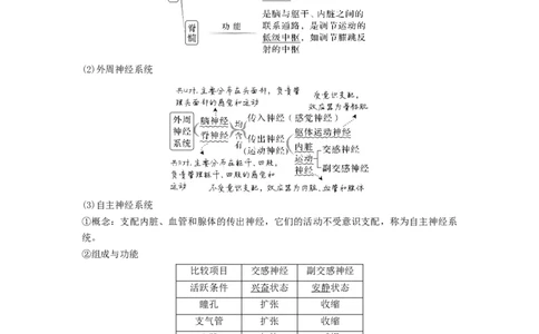 考点25神经调节（解析版）_通用版（老高考）复习资料_2023年复习资料_一轮复习_2023年高考生物一轮复习讲练测（全国通用）