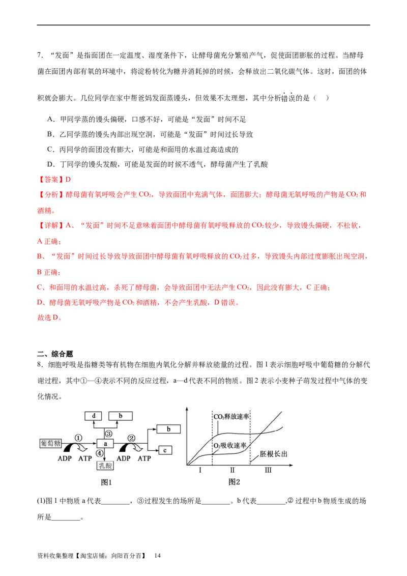 考点通关卷09细胞呼吸（解析版）_新高考复习资料_2024年新高考复习资料_一轮复习资料_完2024年高考生物一轮复习考点通关卷（新高考）_考点通关卷09细胞呼吸
