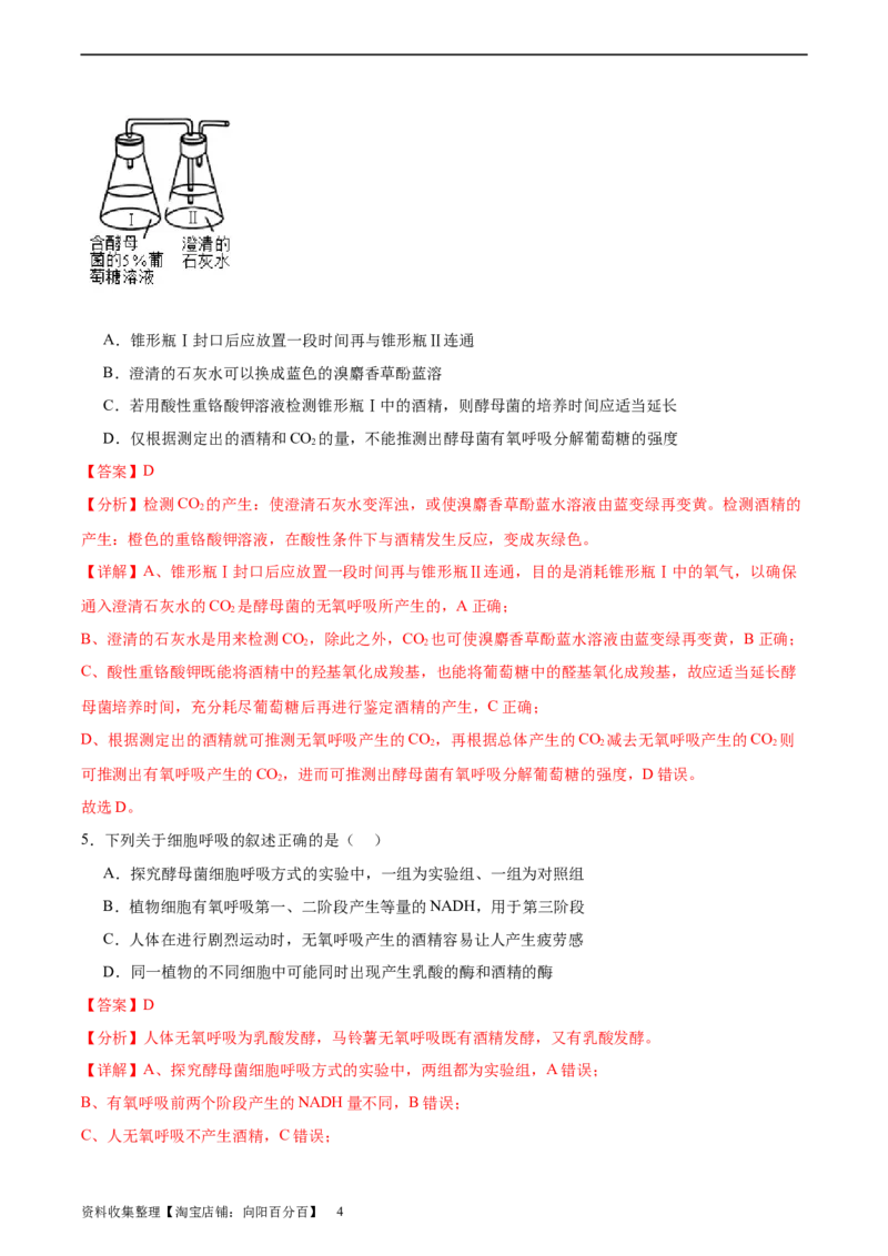 考点通关卷09细胞呼吸（解析版）_新高考复习资料_2024年新高考复习资料_一轮复习资料_完2024年高考生物一轮复习考点通关卷（新高考）_考点通关卷09细胞呼吸