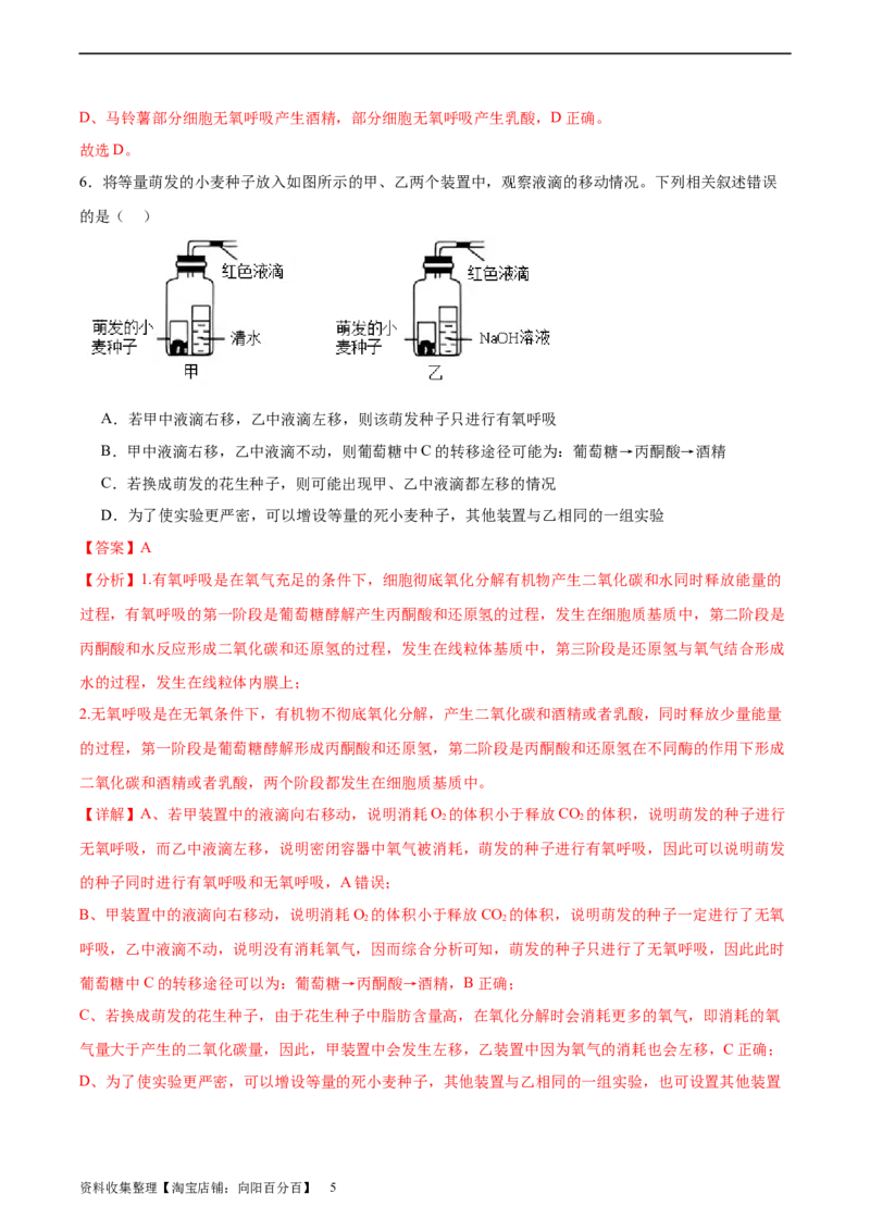 考点通关卷09细胞呼吸（解析版）_新高考复习资料_2024年新高考复习资料_一轮复习资料_完2024年高考生物一轮复习考点通关卷（新高考）_考点通关卷09细胞呼吸