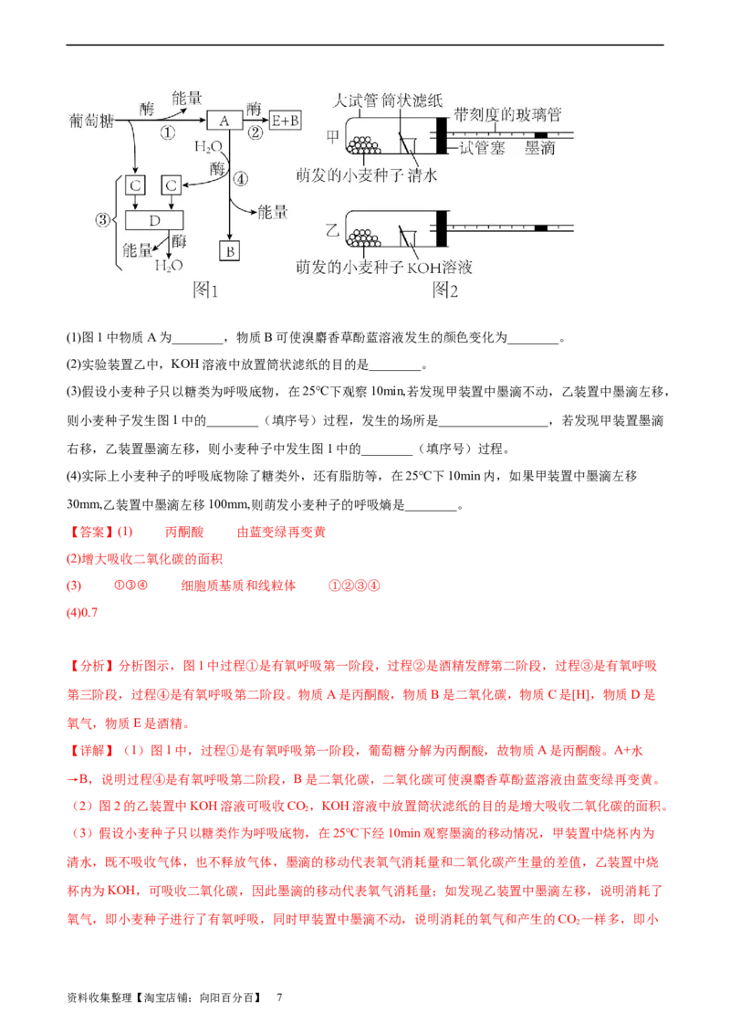 考点通关卷09细胞呼吸（解析版）_新高考复习资料_2024年新高考复习资料_一轮复习资料_完2024年高考生物一轮复习考点通关卷（新高考）_考点通关卷09细胞呼吸