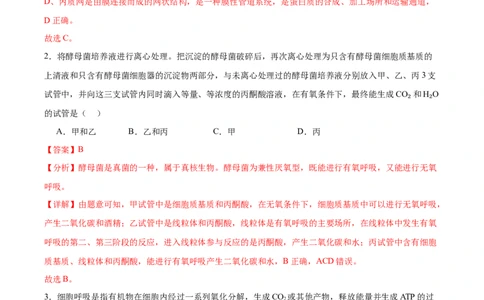考点通关卷09细胞呼吸（解析版）_新高考复习资料_2024年新高考复习资料_一轮复习资料_完2024年高考生物一轮复习考点通关卷（新高考）_考点通关卷09细胞呼吸