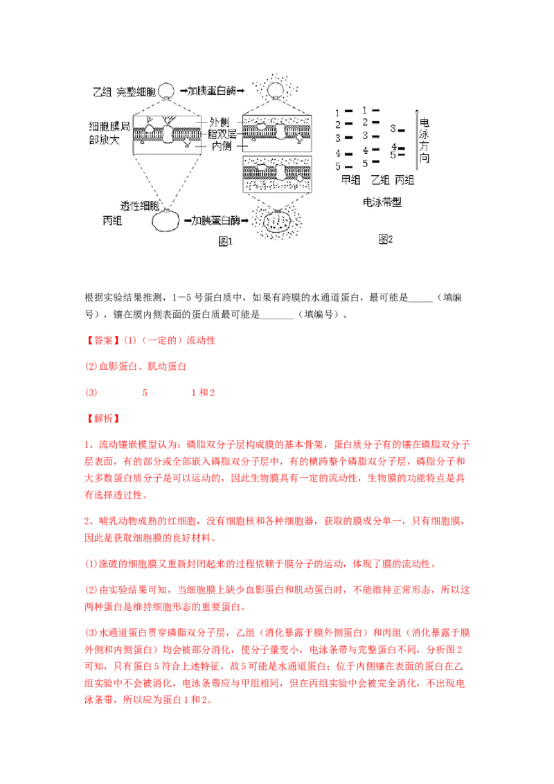 考点07细胞膜与细胞核（解析版）_通用版（老高考）复习资料_2023年复习资料_一轮复习_2023年高考生物一轮复习讲练测（全国通用）