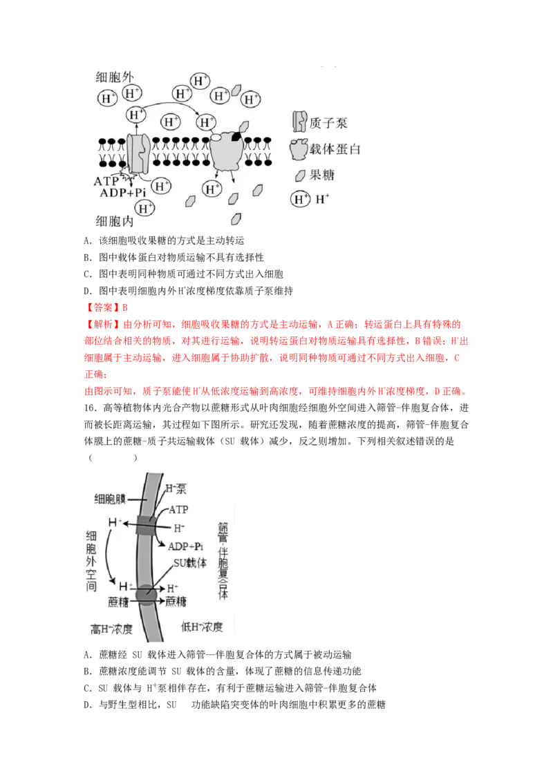 考点09细胞内物质的输入和输出（解析版）_通用版（老高考）复习资料_2023年复习资料_一轮复习_2023年高考生物一轮复习讲练测（全国通用）