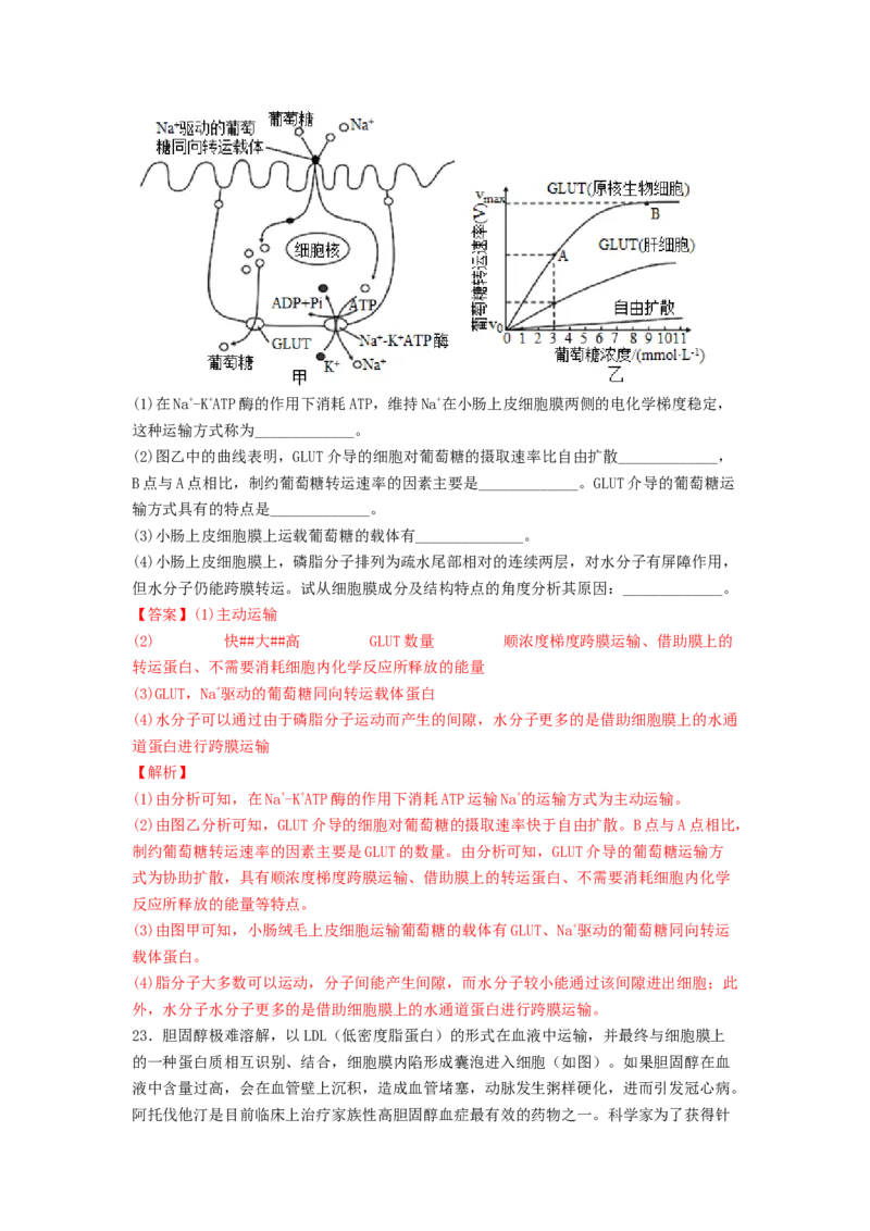 考点09细胞内物质的输入和输出（解析版）_通用版（老高考）复习资料_2023年复习资料_一轮复习_2023年高考生物一轮复习讲练测（全国通用）