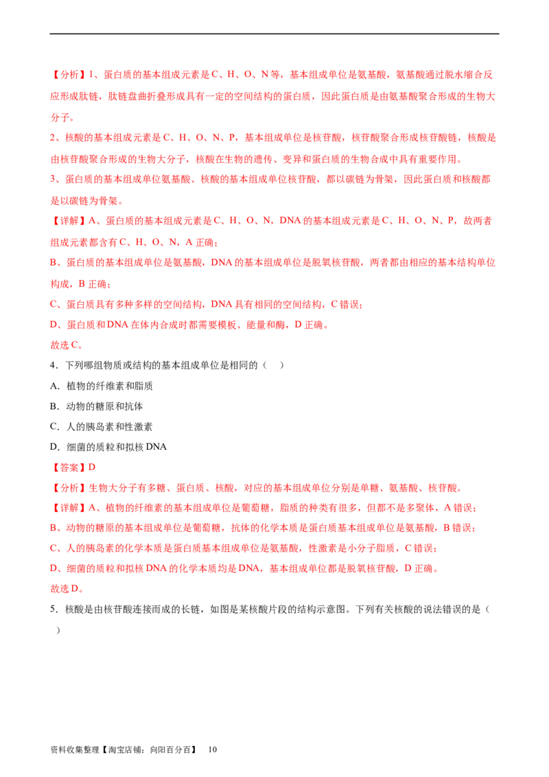 考点通关卷04蛋白质和核酸（解析版）_新高考复习资料_2024年新高考复习资料_一轮复习资料_完2024年高考生物一轮复习考点通关卷（新高考）_考点通关卷04蛋白质和核酸