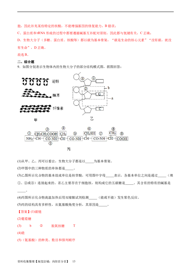 考点通关卷04蛋白质和核酸（解析版）_新高考复习资料_2024年新高考复习资料_一轮复习资料_完2024年高考生物一轮复习考点通关卷（新高考）_考点通关卷04蛋白质和核酸