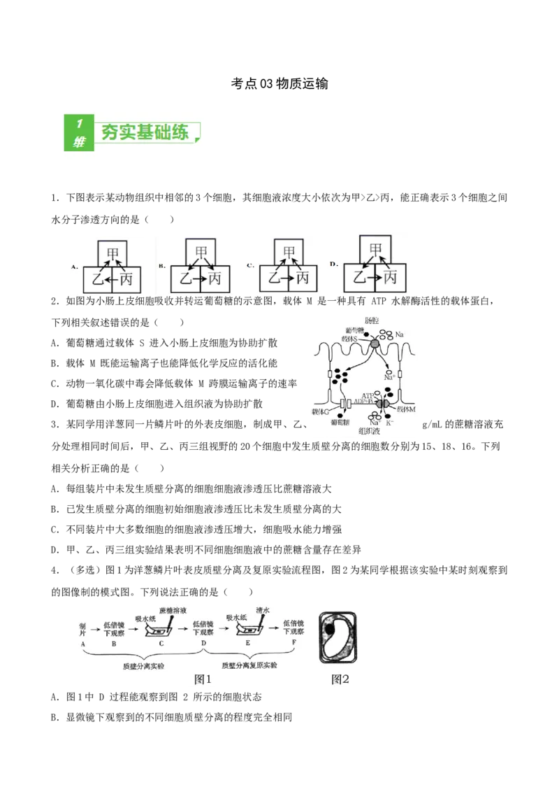 考点03物质运输-2022年高考生物一轮复习小题多维练（新高考专用）（原卷版）_新高考复习资料_2022年新高考复习资料_2022年高考生物一轮复习小题多维练（新高考专用）8.8更新