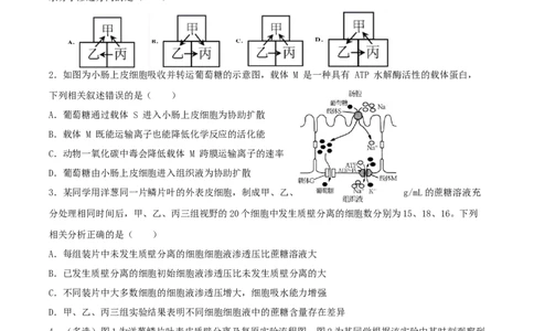 考点03物质运输-2022年高考生物一轮复习小题多维练（新高考专用）（原卷版）_新高考复习资料_2022年新高考复习资料_2022年高考生物一轮复习小题多维练（新高考专用）8.8更新