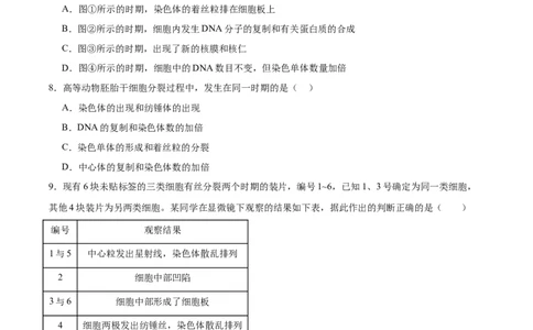 考点通关卷12细胞增殖（原卷版）_新高考复习资料_2025年新高考资料_2025年高考生物一轮复习考点通关卷（新高考通用）