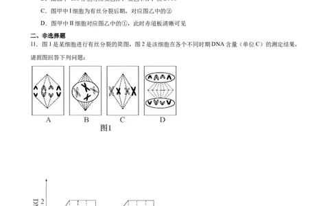考点通关卷12细胞增殖（原卷版）_新高考复习资料_2025年新高考资料_2025年高考生物一轮复习考点通关卷（新高考通用）