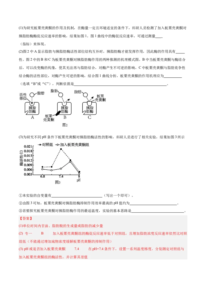 考点通关卷08酶和ATP（解析版）_新高考复习资料_2025年新高考资料_2025年高考生物一轮复习考点通关卷（新高考通用）