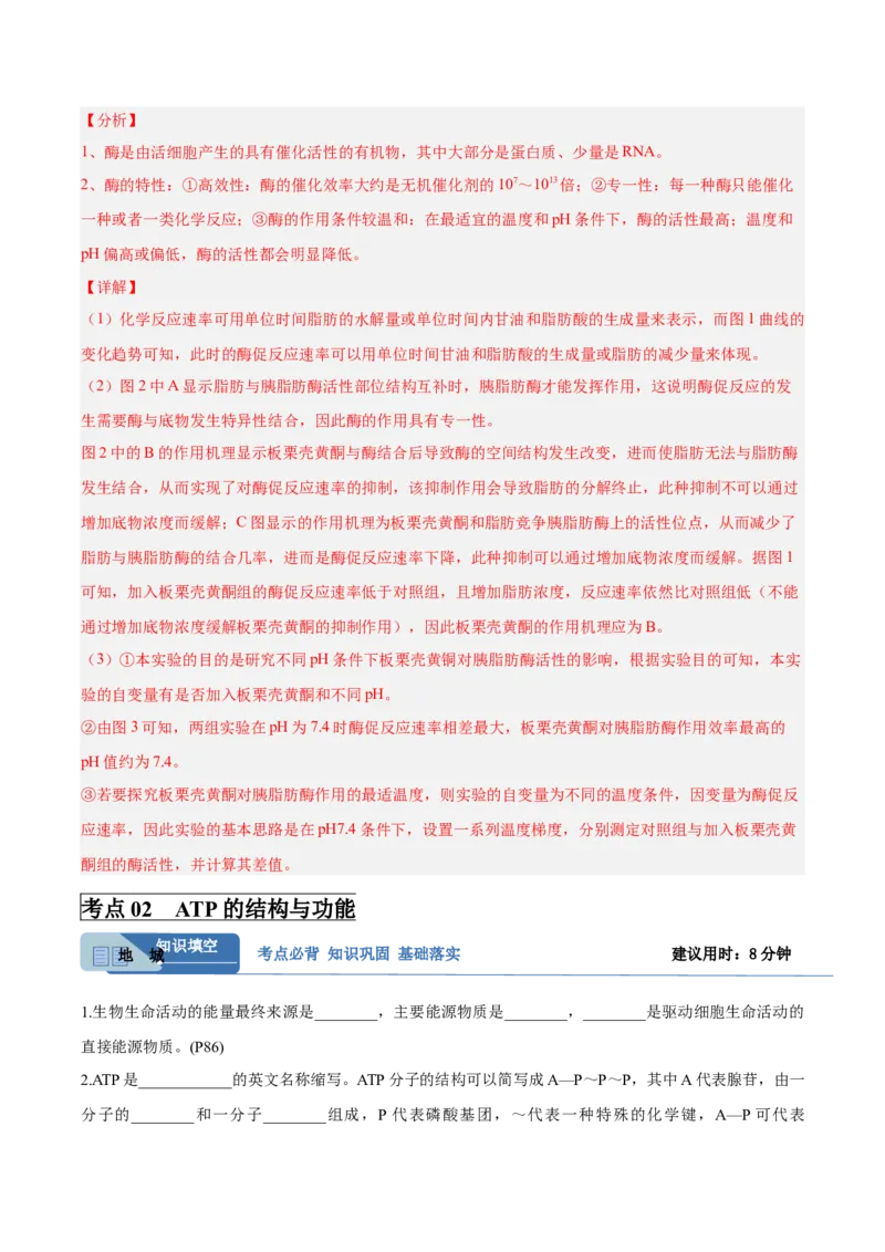 考点通关卷08酶和ATP（解析版）_新高考复习资料_2025年新高考资料_2025年高考生物一轮复习考点通关卷（新高考通用）