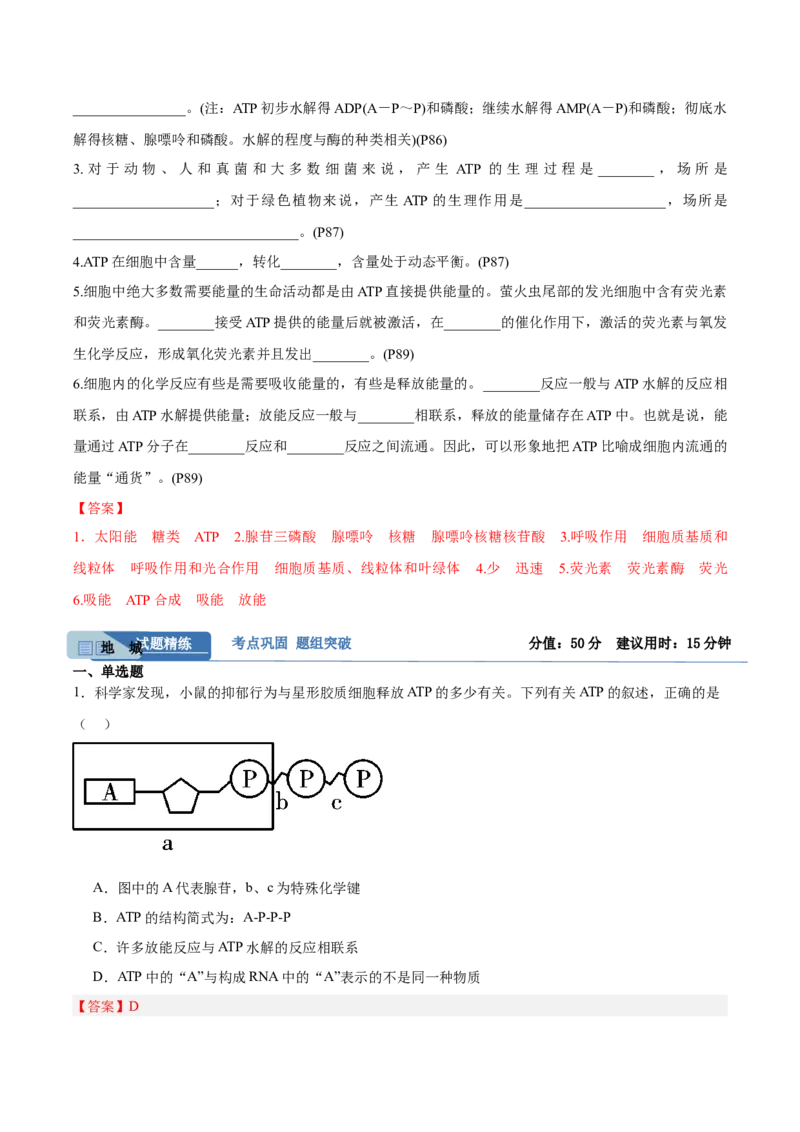 考点通关卷08酶和ATP（解析版）_新高考复习资料_2025年新高考资料_2025年高考生物一轮复习考点通关卷（新高考通用）