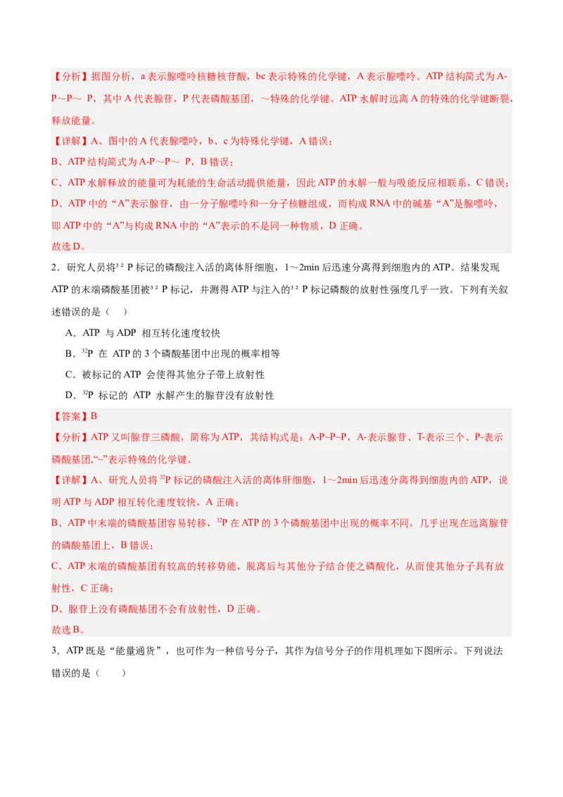 考点通关卷08酶和ATP（解析版）_新高考复习资料_2025年新高考资料_2025年高考生物一轮复习考点通关卷（新高考通用）