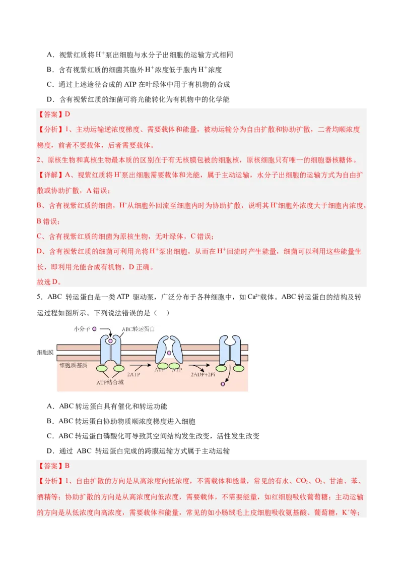 考点通关卷08酶和ATP（解析版）_新高考复习资料_2025年新高考资料_2025年高考生物一轮复习考点通关卷（新高考通用）