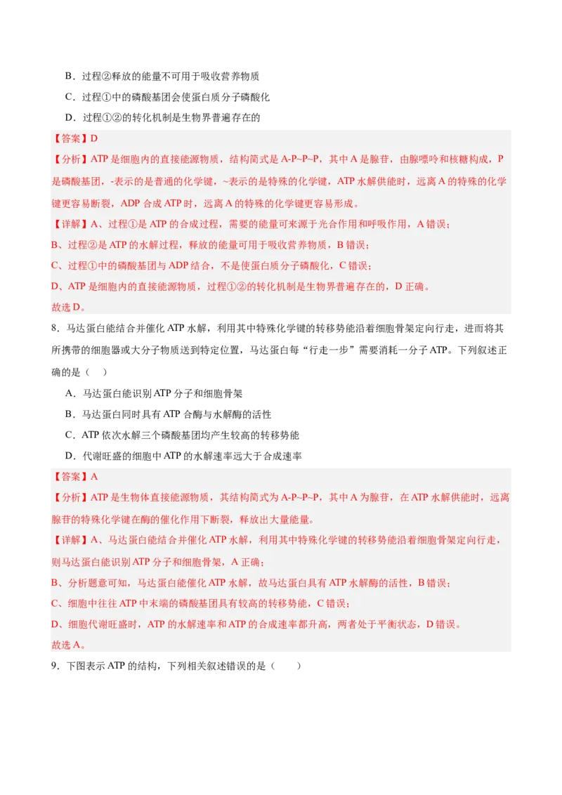 考点通关卷08酶和ATP（解析版）_新高考复习资料_2025年新高考资料_2025年高考生物一轮复习考点通关卷（新高考通用）