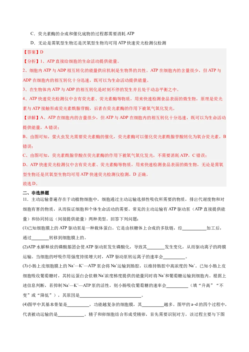 考点通关卷08酶和ATP（解析版）_新高考复习资料_2025年新高考资料_2025年高考生物一轮复习考点通关卷（新高考通用）