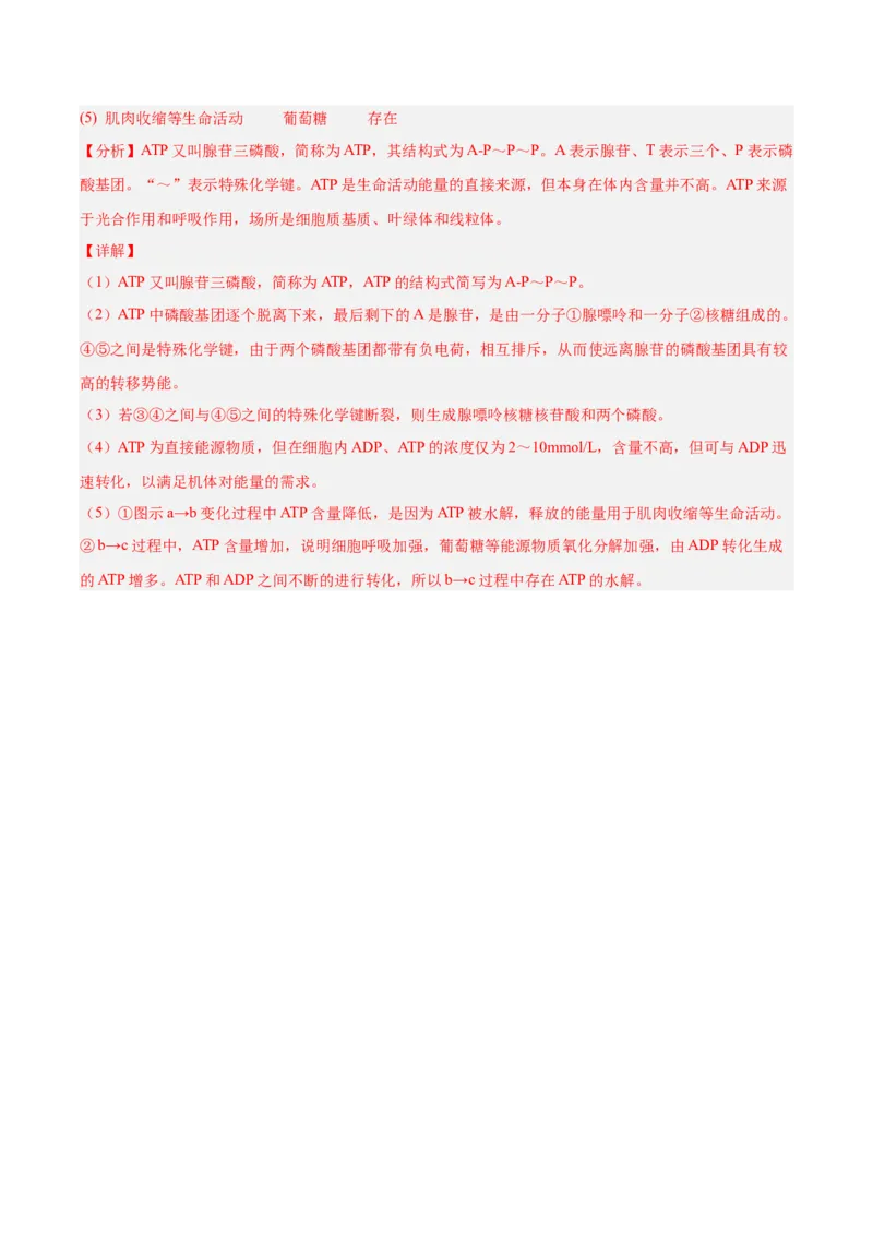 考点通关卷08酶和ATP（解析版）_新高考复习资料_2025年新高考资料_2025年高考生物一轮复习考点通关卷（新高考通用）