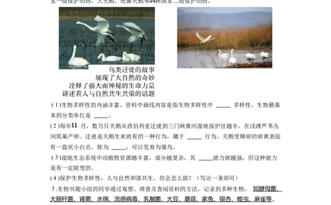 专题25生物的分类和生物的多样性（原卷版）_6生物中考复习_2024年中考复习资料_一轮复习资料_完精准复习课件精讲ppt+习题精练备战2024年中考生物一轮复习全考点通关_配套练习