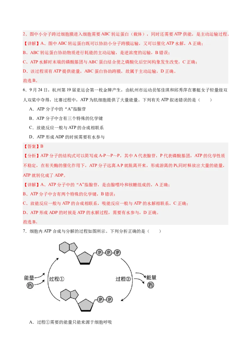 考点通关卷08酶和ATP（解析版）_2025年新高考资料_一轮复习_2025年高考生物一轮复习考点通关卷（新高考通用）_考点通关卷08酶和ATP-2025年高考生物一轮复习考点通关卷（新高考通用）
