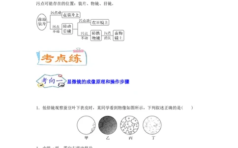考点03使用高倍显微镜观察细胞（解析版）_通用版（老高考）复习资料_2023年复习资料_一轮复习_2023年高考生物一轮复习讲练测（全国通用）