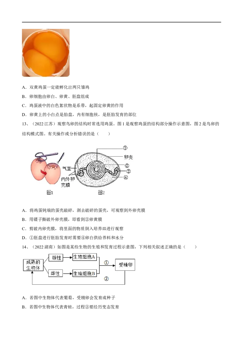 专题19生物的生殖和发育（原卷版）_6生物中考复习_2023年中考复习资料_一轮复习_2023年中考生物一轮复习讲练测_专题19生物的生殖和发育（专题精练）-2023年中考生物一轮复习讲练测