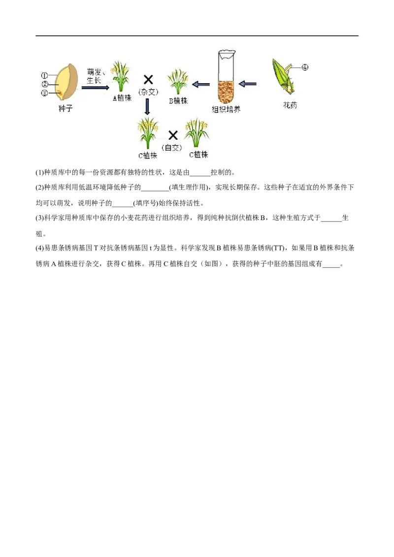 专题19生物的生殖和发育（原卷版）_6生物中考复习_2023年中考复习资料_一轮复习_2023年中考生物一轮复习讲练测_专题19生物的生殖和发育（专题精练）-2023年中考生物一轮复习讲练测