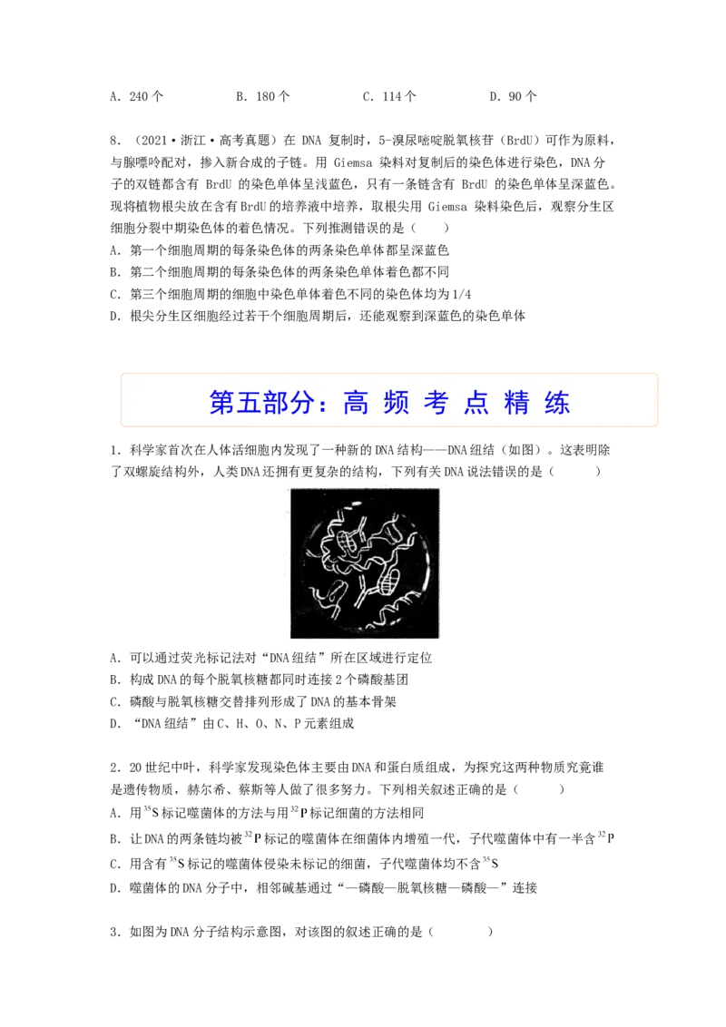 考点19DNA的分子结构、复制和基因本质（原卷版）_通用版（老高考）复习资料_2023年复习资料_一轮复习_2023年高考生物一轮复习讲练测（全国通用）