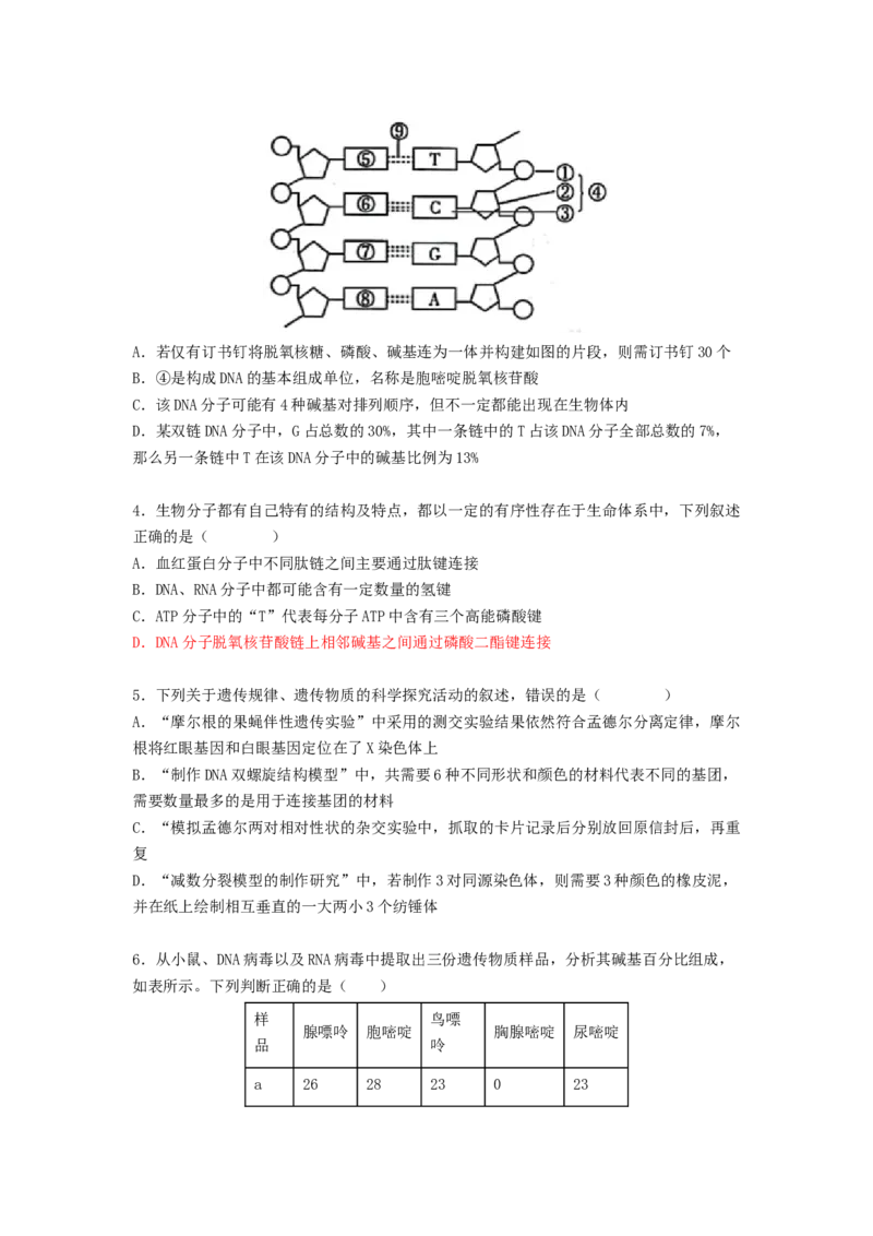 考点19DNA的分子结构、复制和基因本质（原卷版）_通用版（老高考）复习资料_2023年复习资料_一轮复习_2023年高考生物一轮复习讲练测（全国通用）