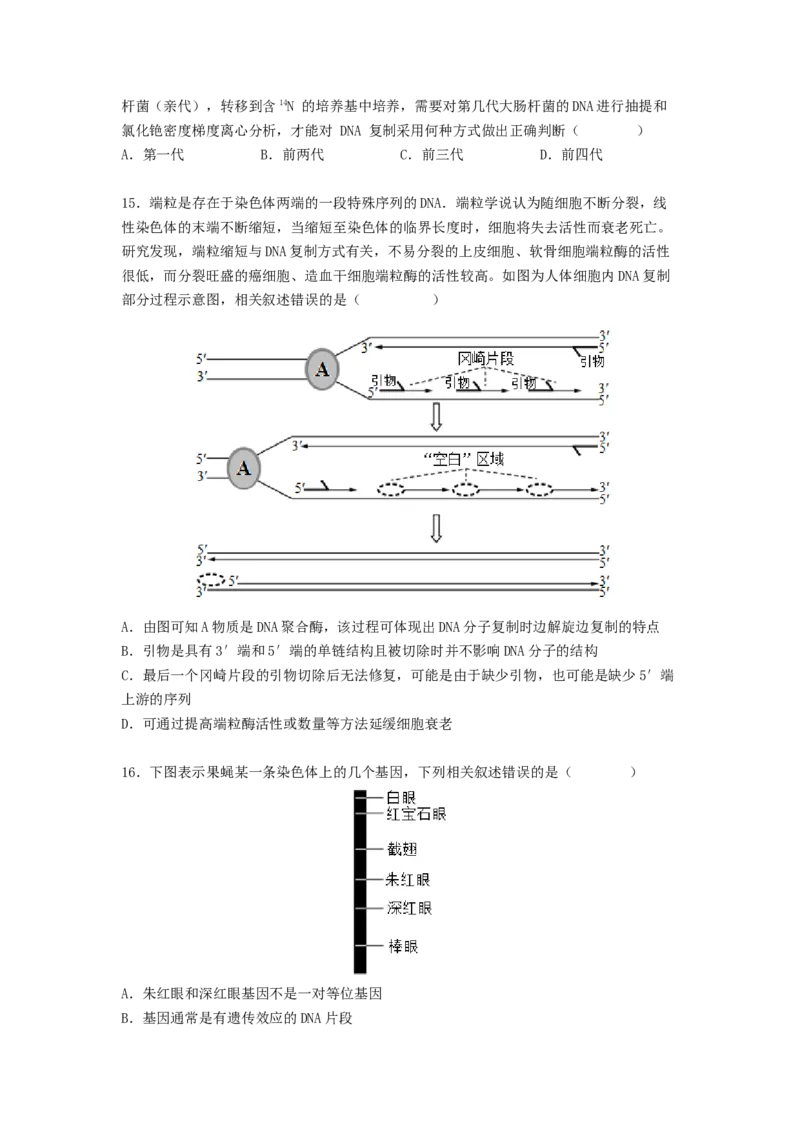 考点19DNA的分子结构、复制和基因本质（原卷版）_通用版（老高考）复习资料_2023年复习资料_一轮复习_2023年高考生物一轮复习讲练测（全国通用）
