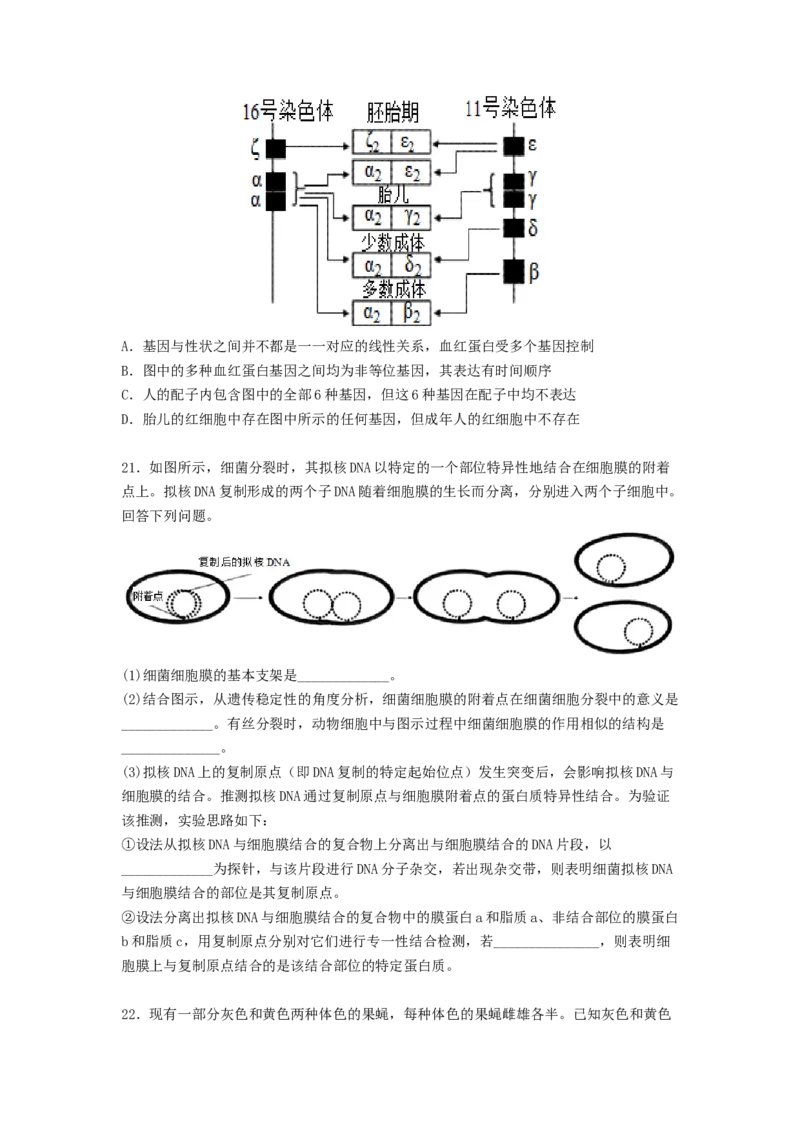 考点19DNA的分子结构、复制和基因本质（原卷版）_通用版（老高考）复习资料_2023年复习资料_一轮复习_2023年高考生物一轮复习讲练测（全国通用）
