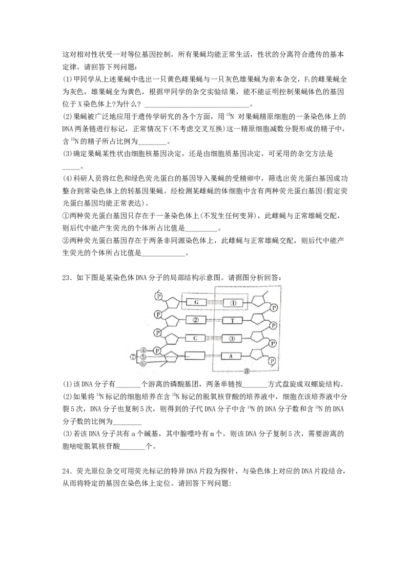考点19DNA的分子结构、复制和基因本质（原卷版）_通用版（老高考）复习资料_2023年复习资料_一轮复习_2023年高考生物一轮复习讲练测（全国通用）