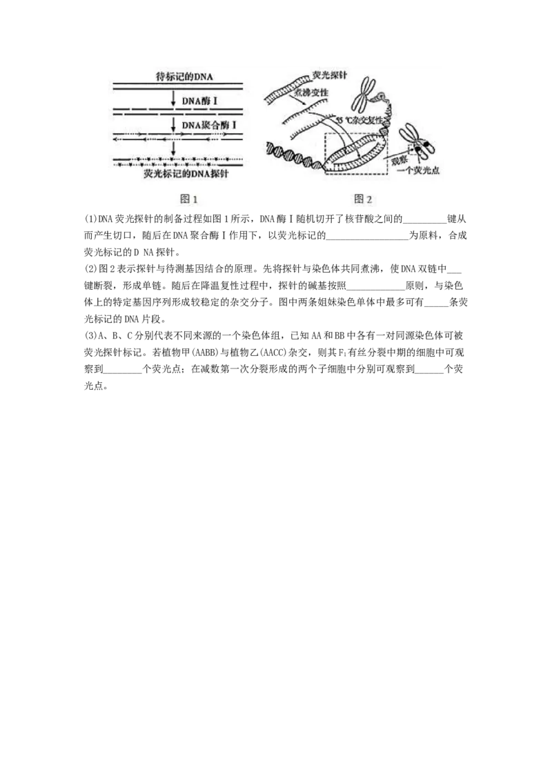 考点19DNA的分子结构、复制和基因本质（原卷版）_通用版（老高考）复习资料_2023年复习资料_一轮复习_2023年高考生物一轮复习讲练测（全国通用）