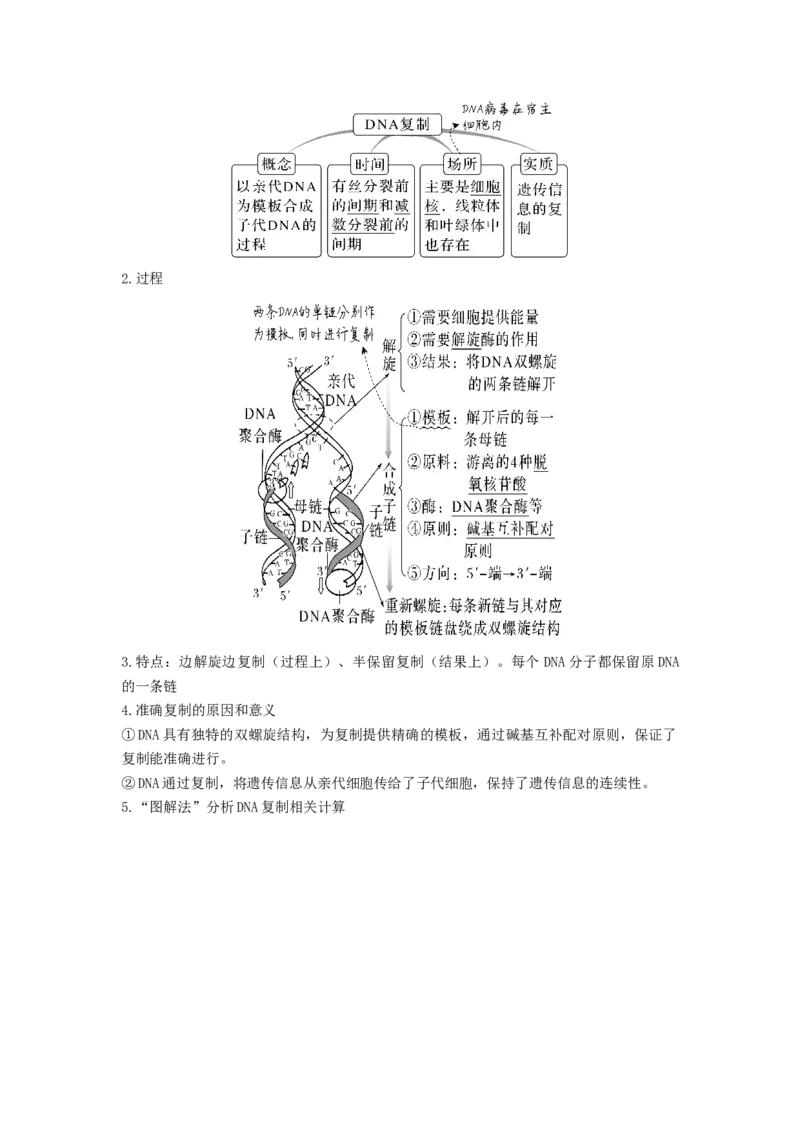 考点19DNA的分子结构、复制和基因本质（原卷版）_通用版（老高考）复习资料_2023年复习资料_一轮复习_2023年高考生物一轮复习讲练测（全国通用）