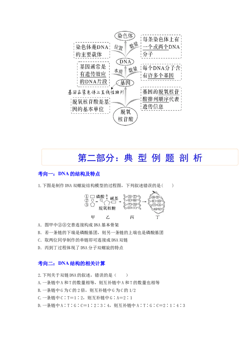 考点19DNA的分子结构、复制和基因本质（原卷版）_通用版（老高考）复习资料_2023年复习资料_一轮复习_2023年高考生物一轮复习讲练测（全国通用）
