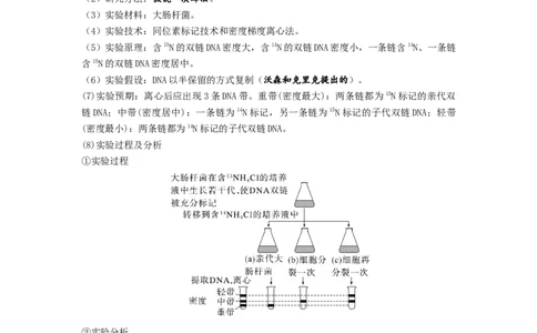 考点19DNA的分子结构、复制和基因本质（原卷版）_通用版（老高考）复习资料_2023年复习资料_一轮复习_2023年高考生物一轮复习讲练测（全国通用）