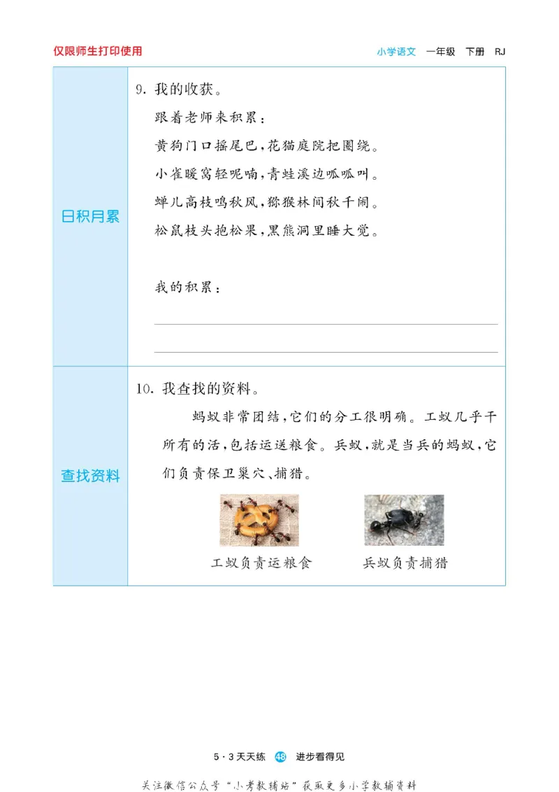 53预习单一年级下册语文部编版_26春53小学系列合集_1-6年级语文下册《53预习单》