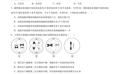 考点通关卷13减数分裂和受精作用（原卷版）_新高考复习资料_2025年新高考资料_2025年高考生物一轮复习考点通关卷（新高考通用）