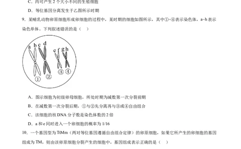 考点通关卷13减数分裂和受精作用（原卷版）_新高考复习资料_2025年新高考资料_2025年高考生物一轮复习考点通关卷（新高考通用）
