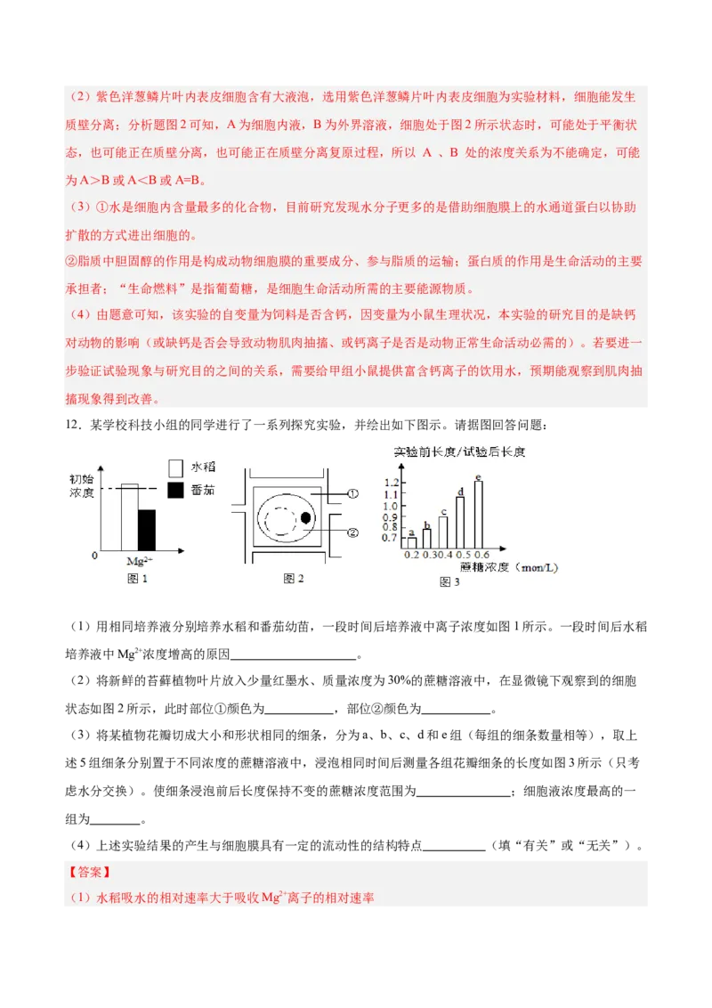 考点通关卷07物质运输（解析版）_2025年新高考资料_一轮复习_2025年高考生物一轮复习考点通关卷（新高考通用）_考点通关卷07物质运输-2025年高考生物一轮复习考点通关卷（新高考通用）