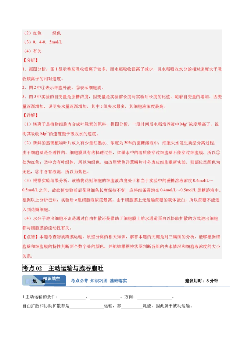 考点通关卷07物质运输（解析版）_2025年新高考资料_一轮复习_2025年高考生物一轮复习考点通关卷（新高考通用）_考点通关卷07物质运输-2025年高考生物一轮复习考点通关卷（新高考通用）
