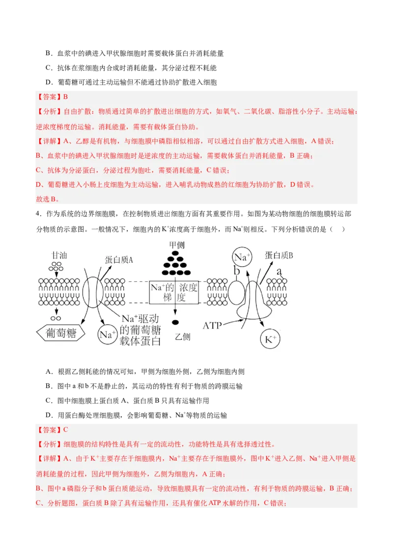 考点通关卷07物质运输（解析版）_2025年新高考资料_一轮复习_2025年高考生物一轮复习考点通关卷（新高考通用）_考点通关卷07物质运输-2025年高考生物一轮复习考点通关卷（新高考通用）