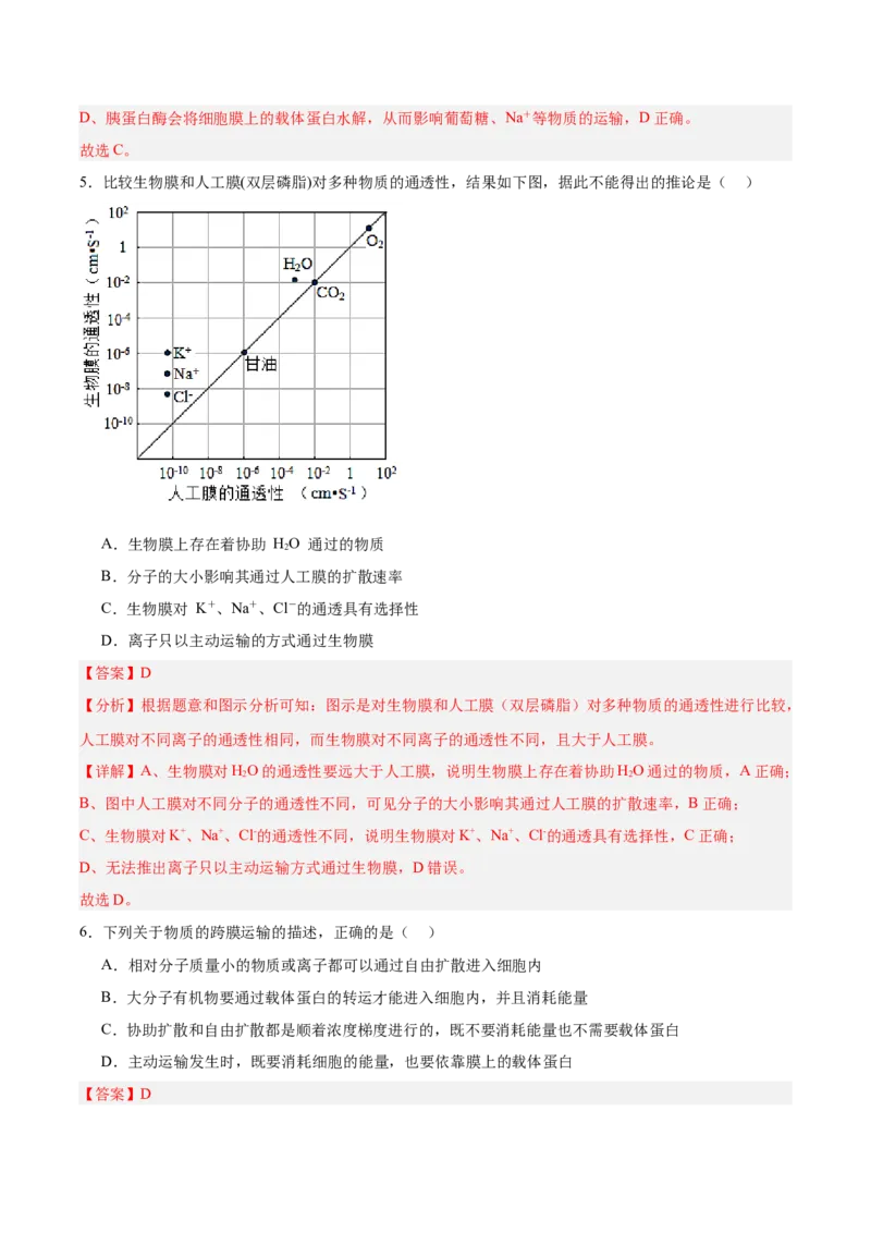 考点通关卷07物质运输（解析版）_2025年新高考资料_一轮复习_2025年高考生物一轮复习考点通关卷（新高考通用）_考点通关卷07物质运输-2025年高考生物一轮复习考点通关卷（新高考通用）