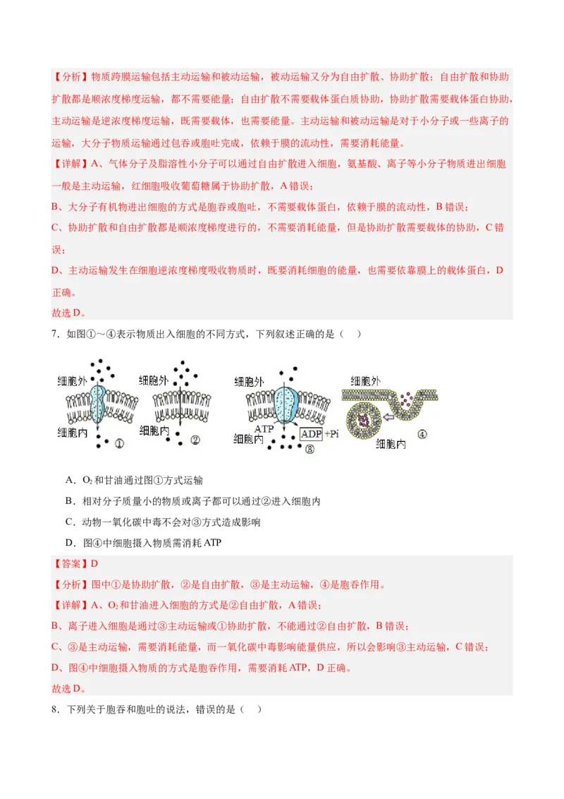 考点通关卷07物质运输（解析版）_2025年新高考资料_一轮复习_2025年高考生物一轮复习考点通关卷（新高考通用）_考点通关卷07物质运输-2025年高考生物一轮复习考点通关卷（新高考通用）