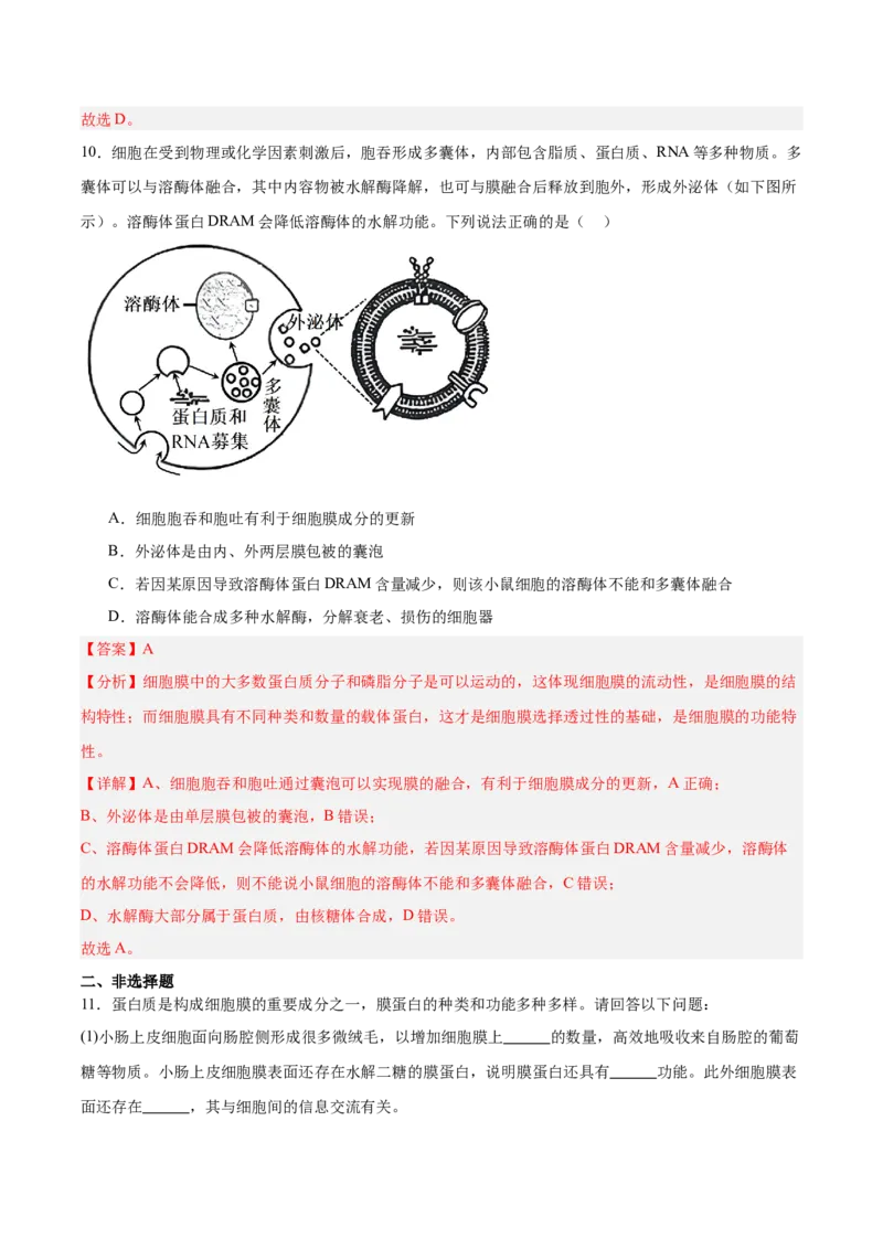 考点通关卷07物质运输（解析版）_2025年新高考资料_一轮复习_2025年高考生物一轮复习考点通关卷（新高考通用）_考点通关卷07物质运输-2025年高考生物一轮复习考点通关卷（新高考通用）