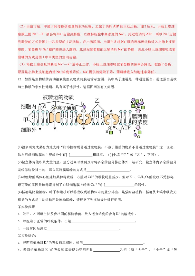 考点通关卷07物质运输（解析版）_2025年新高考资料_一轮复习_2025年高考生物一轮复习考点通关卷（新高考通用）_考点通关卷07物质运输-2025年高考生物一轮复习考点通关卷（新高考通用）
