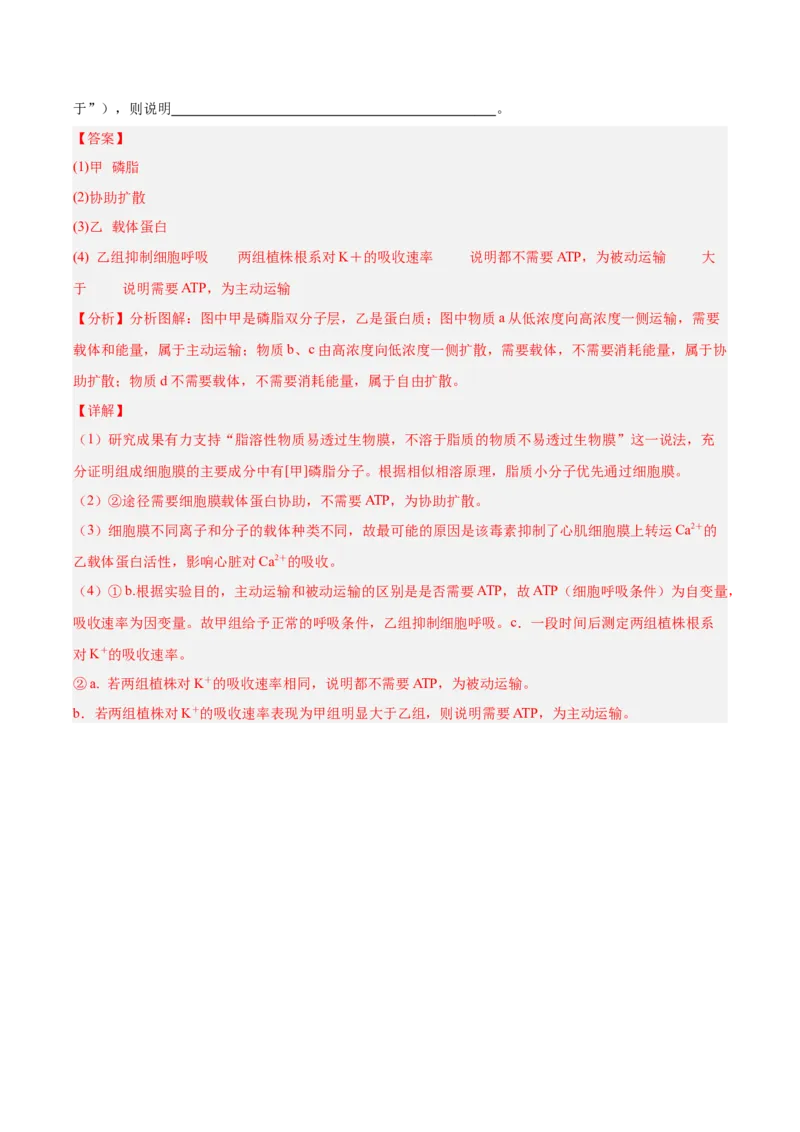 考点通关卷07物质运输（解析版）_2025年新高考资料_一轮复习_2025年高考生物一轮复习考点通关卷（新高考通用）_考点通关卷07物质运输-2025年高考生物一轮复习考点通关卷（新高考通用）